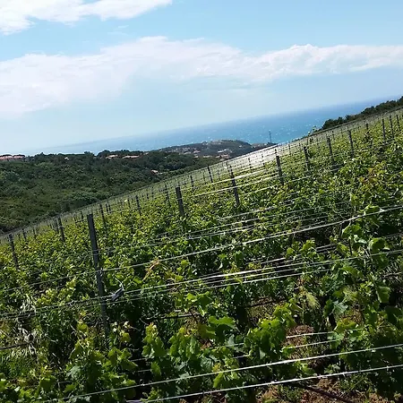 Casale Del Mare ファームステイ カスティリョンチェッロ